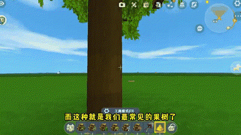 迷你世界中树苗怎么种[图1]