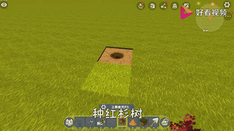 迷你世界中树苗怎么种[图2]
