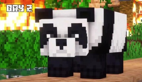 我的世界熊猫有什么用