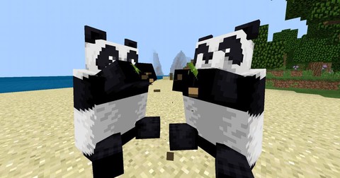 我的世界熊猫有什么用[图2]