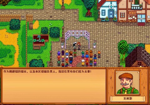 星露谷物语怎么搜不到[图2]