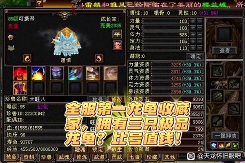 天龙八部龙龟怎么获得[图2]