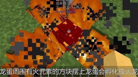 迷你世界怎么孵化龙蛋