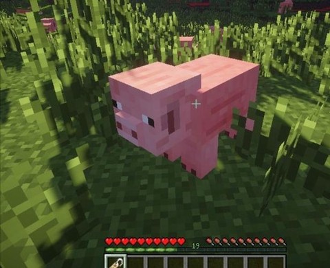 我的世界怎么让猪倒立