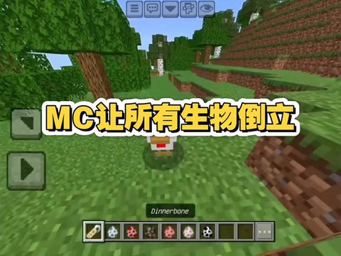 我的世界怎么让猪倒立[图2]